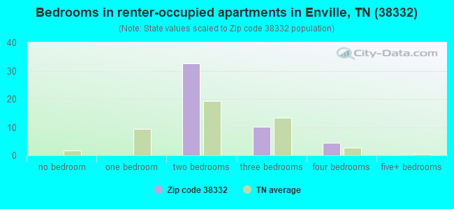 Bedrooms in renter-occupied apartments in Enville, TN (38332) 