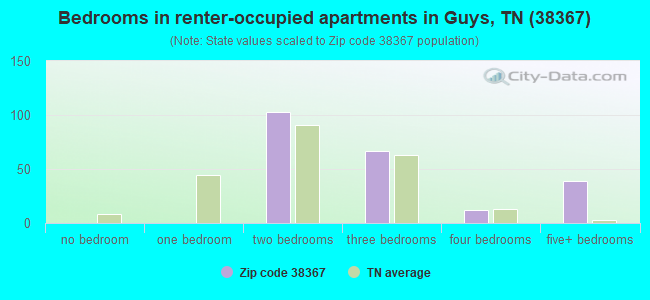 Bedrooms in renter-occupied apartments in Guys, TN (38367) 