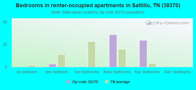 Bedrooms in renter-occupied apartments in Saltillo, TN (38370) 
