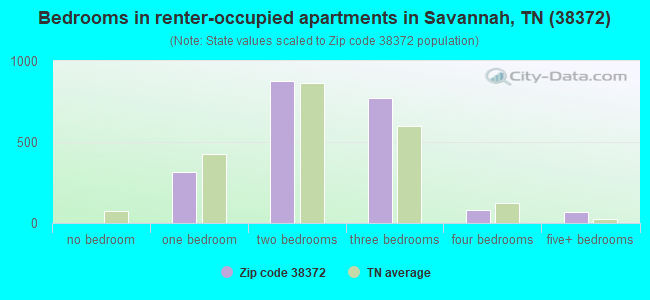 Bedrooms in renter-occupied apartments in Savannah, TN (38372) 