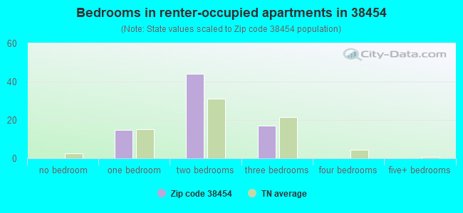 Bedrooms in renter-occupied apartments in 38454 