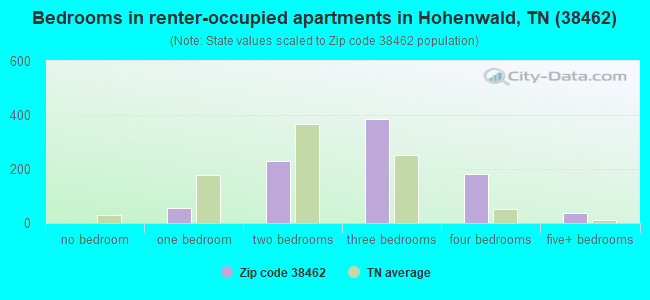 Bedrooms in renter-occupied apartments in Hohenwald, TN (38462) 