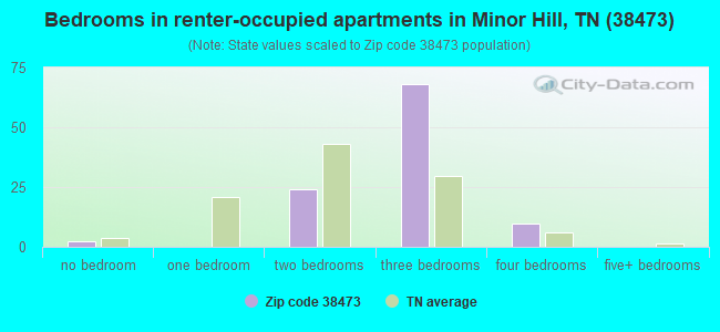 Bedrooms in renter-occupied apartments in Minor Hill, TN (38473) 