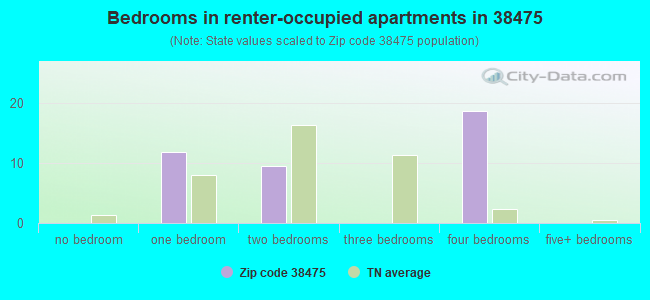 Bedrooms in renter-occupied apartments in 38475 