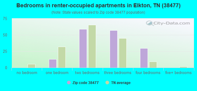Bedrooms in renter-occupied apartments in Elkton, TN (38477) 