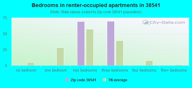 Bedrooms in renter-occupied apartments in 38541 
