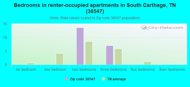 Bedrooms in renter-occupied apartments in South Carthage, TN (38547) 