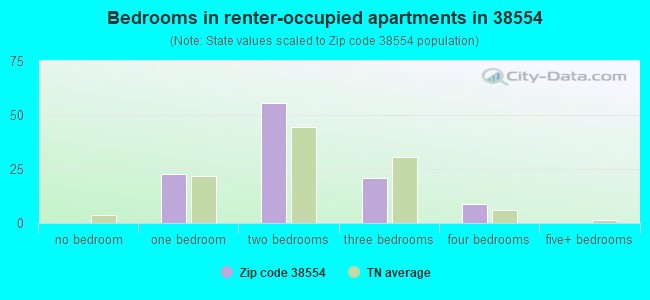 Bedrooms in renter-occupied apartments in 38554 