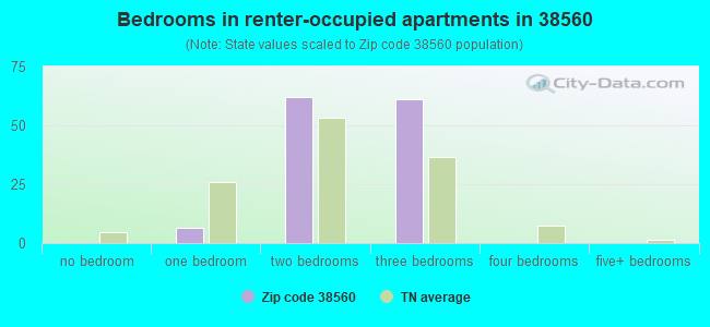 Bedrooms in renter-occupied apartments in 38560 