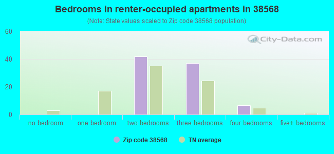 Bedrooms in renter-occupied apartments in 38568 