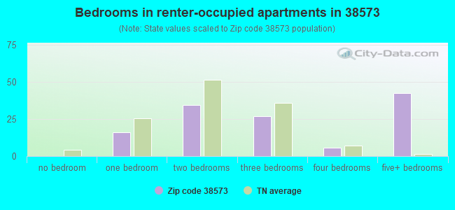 Bedrooms in renter-occupied apartments in 38573 