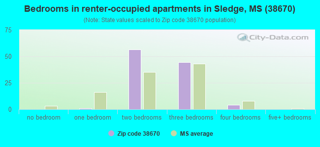 Bedrooms in renter-occupied apartments in Sledge, MS (38670) 