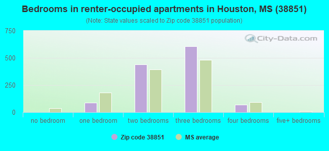 Bedrooms in renter-occupied apartments in Houston, MS (38851) 