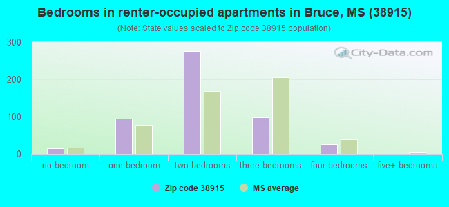 Bedrooms in renter-occupied apartments in Bruce, MS (38915) 