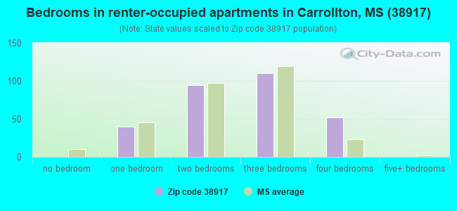 Bedrooms in renter-occupied apartments in Carrollton, MS (38917) 