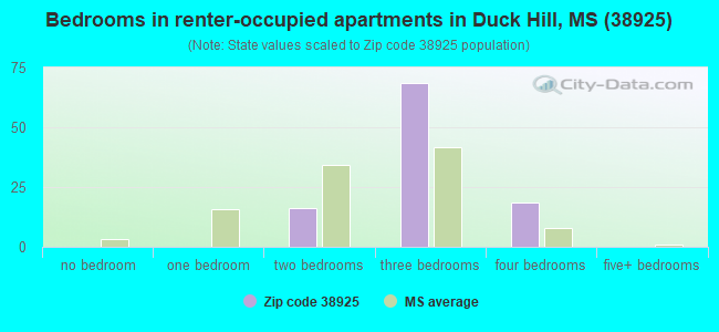Bedrooms in renter-occupied apartments in Duck Hill, MS (38925) 