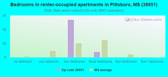 Bedrooms in renter-occupied apartments in Pittsboro, MS (38951) 