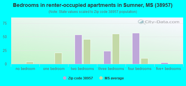 Bedrooms in renter-occupied apartments in Sumner, MS (38957) 