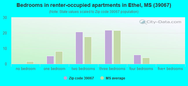 Bedrooms in renter-occupied apartments in Ethel, MS (39067) 