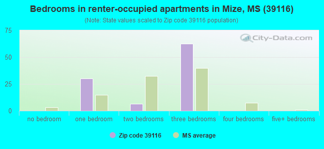 Bedrooms in renter-occupied apartments in Mize, MS (39116) 