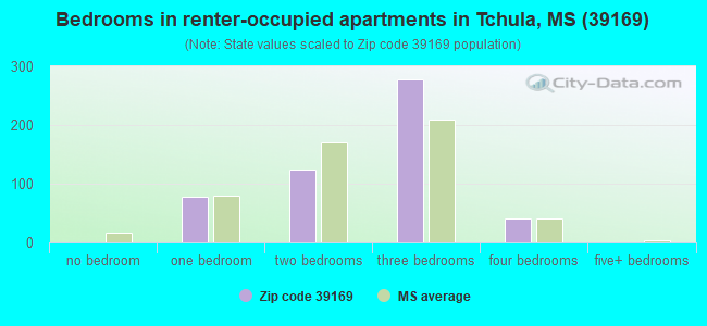 Bedrooms in renter-occupied apartments in Tchula, MS (39169) 