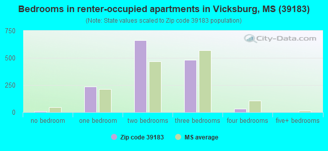 Bedrooms in renter-occupied apartments in Vicksburg, MS (39183) 