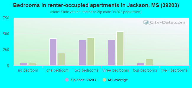 Bedrooms in renter-occupied apartments in Jackson, MS (39203) 