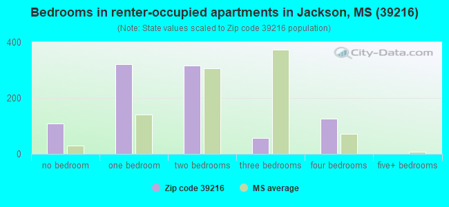 Bedrooms in renter-occupied apartments in Jackson, MS (39216) 