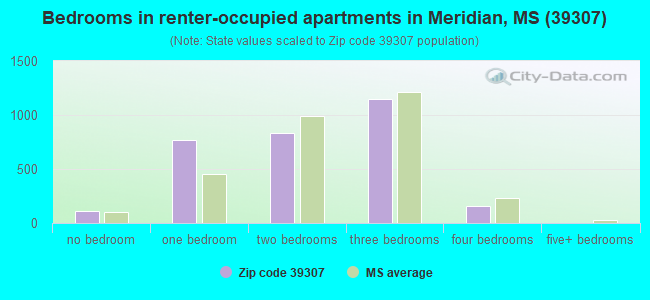 Bedrooms in renter-occupied apartments in Meridian, MS (39307) 