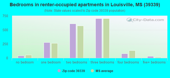 Bedrooms in renter-occupied apartments in Louisville, MS (39339) 