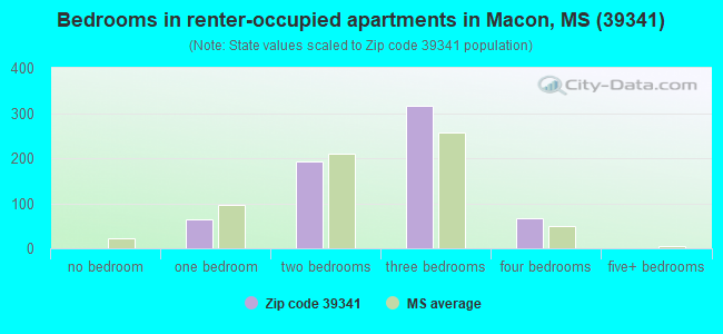 Bedrooms in renter-occupied apartments in Macon, MS (39341) 