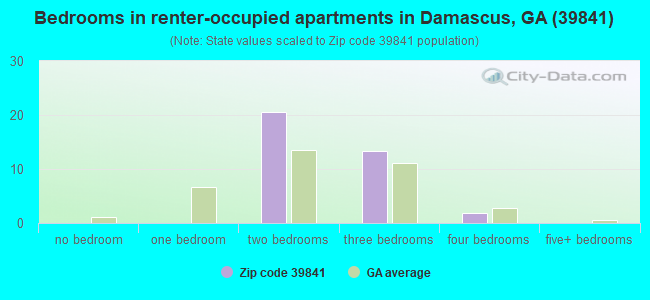 Bedrooms in renter-occupied apartments in Damascus, GA (39841) 