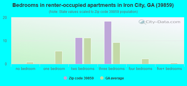Bedrooms in renter-occupied apartments in Iron City, GA (39859) 
