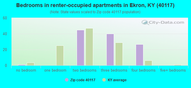 Bedrooms in renter-occupied apartments in Ekron, KY (40117) 