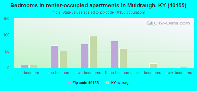 Bedrooms in renter-occupied apartments in Muldraugh, KY (40155) 