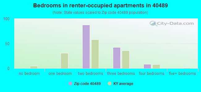 Bedrooms in renter-occupied apartments in 40489 