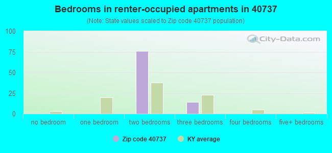 Bedrooms in renter-occupied apartments in 40737 