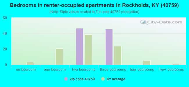 Bedrooms in renter-occupied apartments in Rockholds, KY (40759) 