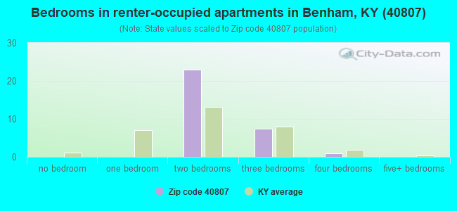 Bedrooms in renter-occupied apartments in Benham, KY (40807) 