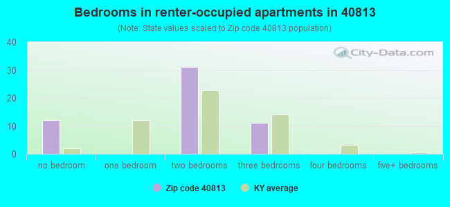 Bedrooms in renter-occupied apartments in 40813 