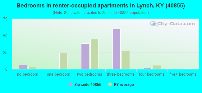 Bedrooms in renter-occupied apartments in Lynch, KY (40855) 