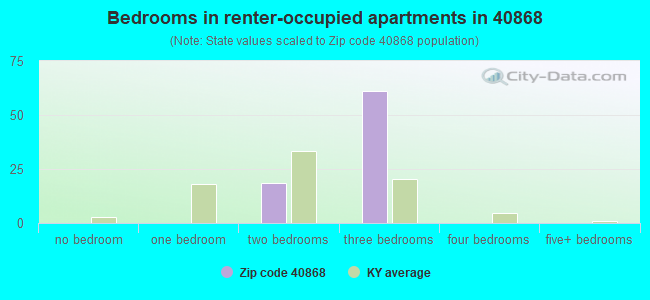 Bedrooms in renter-occupied apartments in 40868 