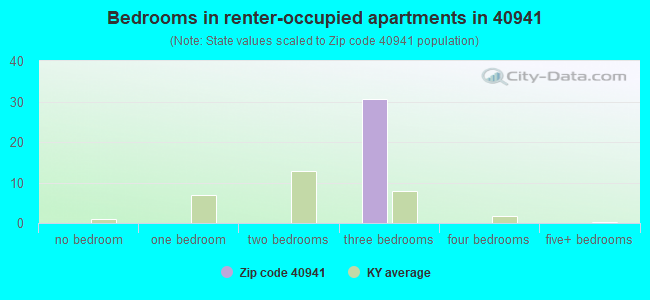 Bedrooms in renter-occupied apartments in 40941 