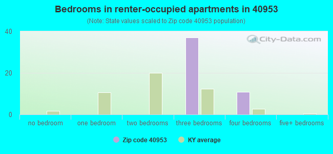 Bedrooms in renter-occupied apartments in 40953 