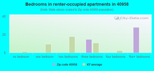 Bedrooms in renter-occupied apartments in 40958 