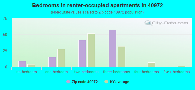 Bedrooms in renter-occupied apartments in 40972 