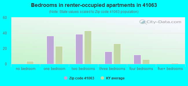 Bedrooms in renter-occupied apartments in 41063 