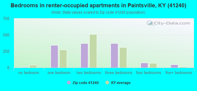 Bedrooms in renter-occupied apartments in Paintsville, KY (41240) 