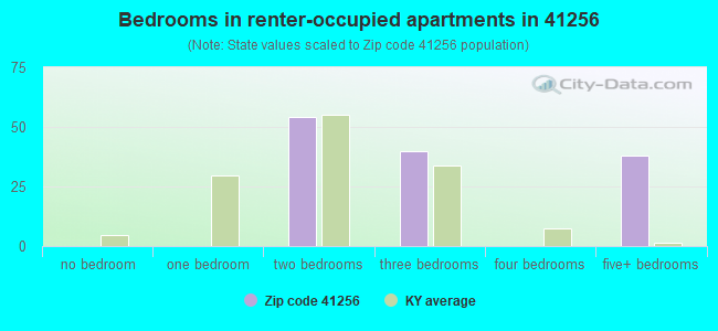 Bedrooms in renter-occupied apartments in 41256 