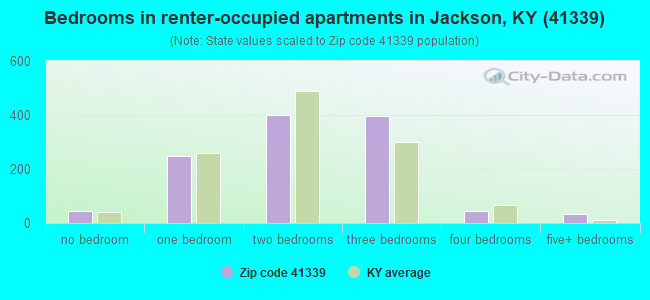 Bedrooms in renter-occupied apartments in Jackson, KY (41339) 